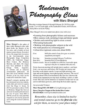 Marc Shargel and ProScuba Dive Center offer Underwater Photo Class
