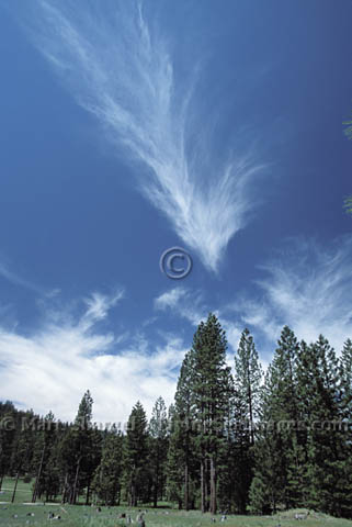 ../photo/imagesnew/L300/383L03_480.jpg